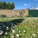 Estudio Pajar Rural Con Bonito Jardin - Gayoles Rural * Castropol