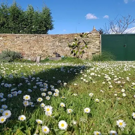 Estudio Pajar Rural Con Bonito Jardin - Gayoles Rural * Castropol